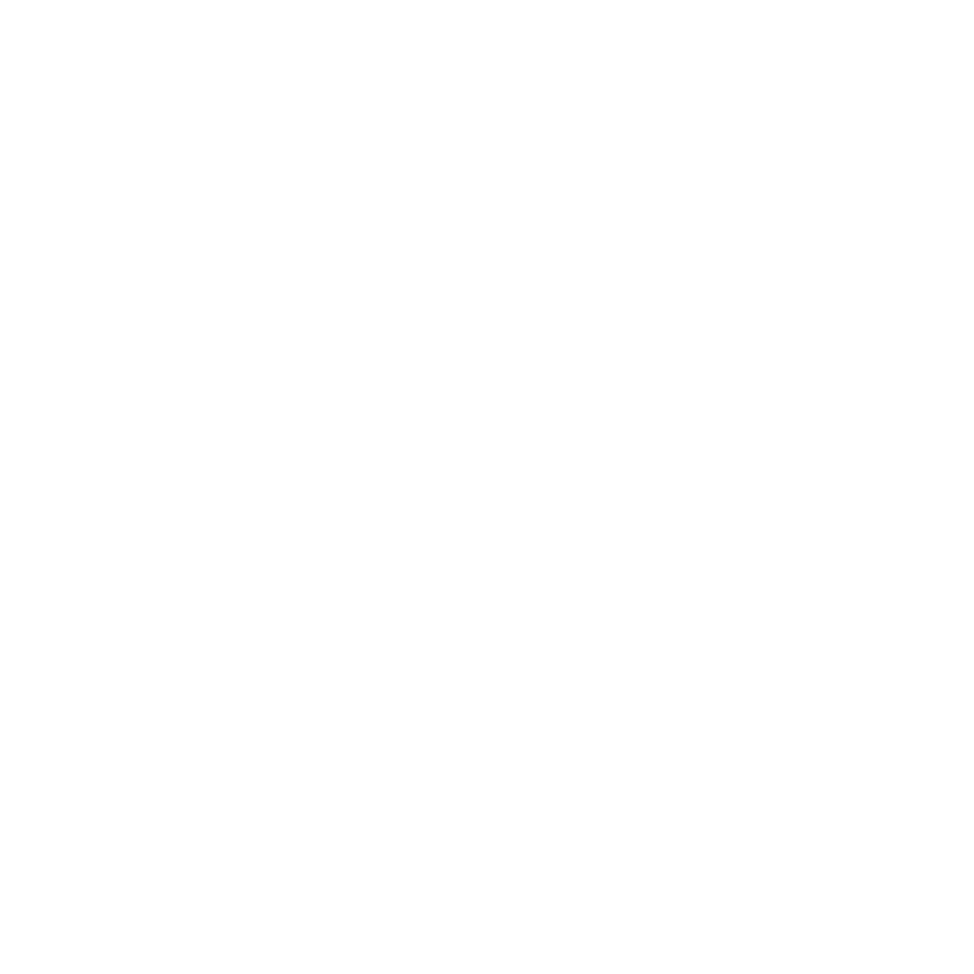 Portfolio - Dzik